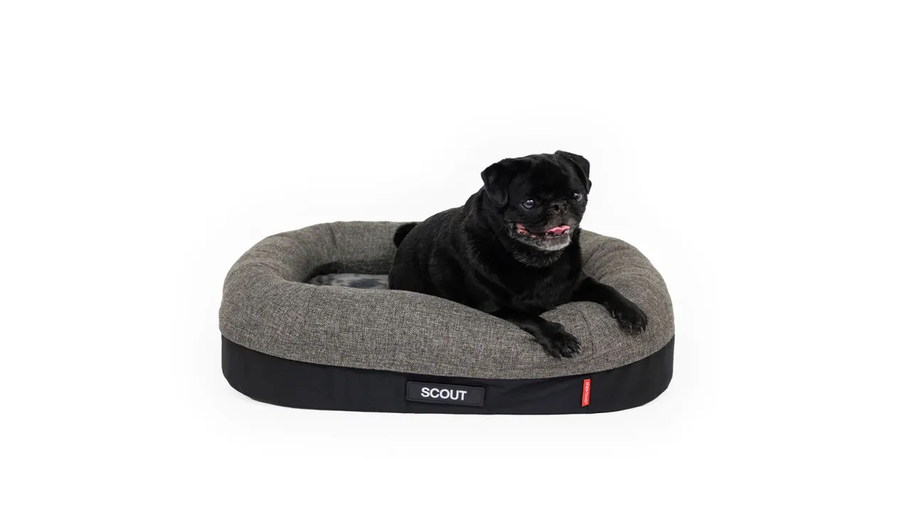 EzyDog 2in1 Ortho Calm Elite Bed Charcoal/Black